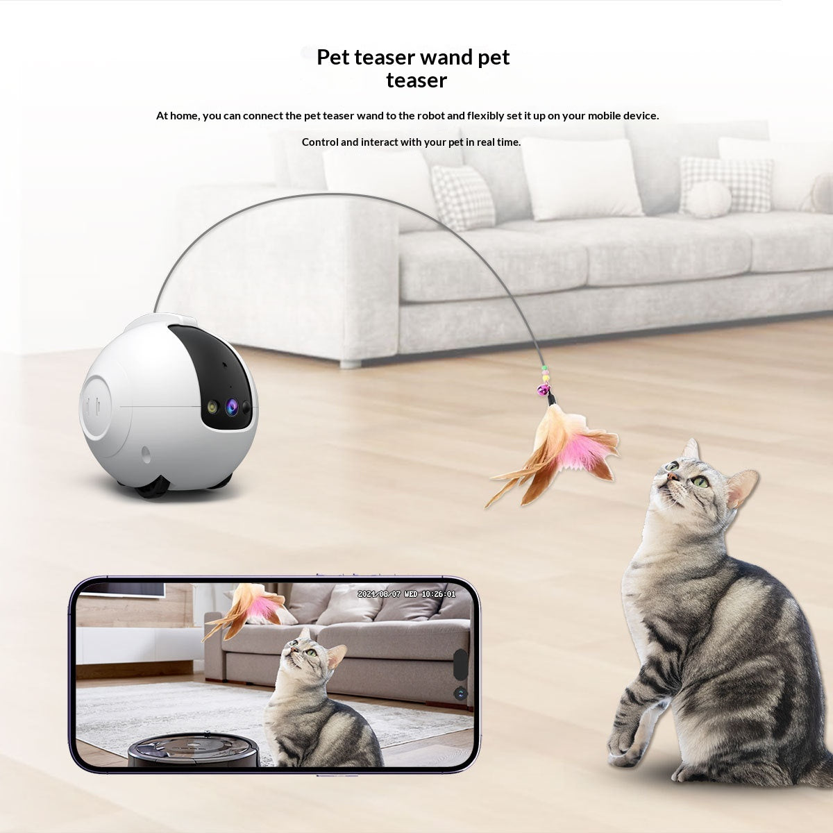 Jouet interactif pour chat et chien avec caméra de surveillance