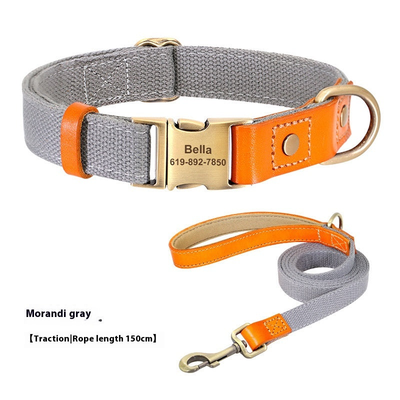 Rope de traction du collier de petit chien