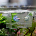 Boîte d'incubation du réservoir de poisson Acrylique Aquarium