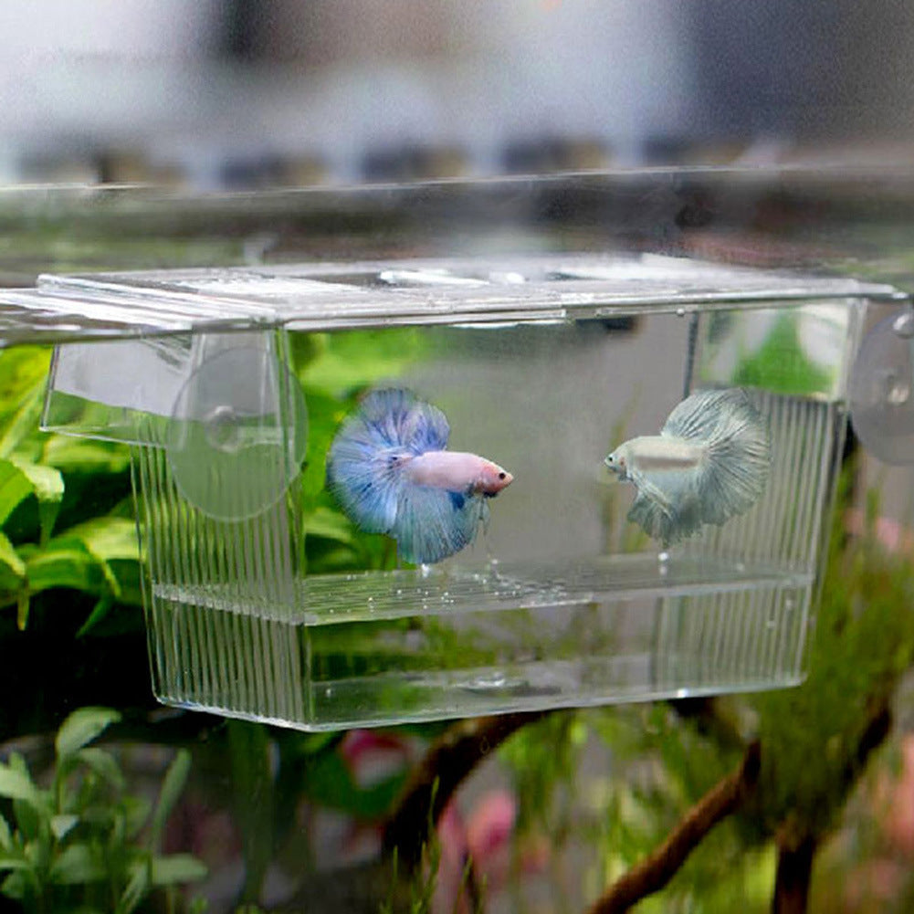 Boîte d'incubation du réservoir de poisson Acrylique Aquarium