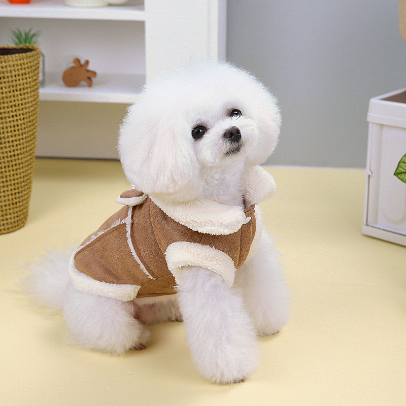 Manteau rembourré en coton pour chien chaud