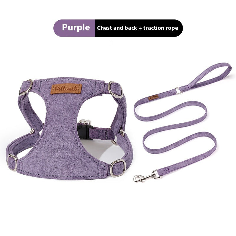 Puppy main tenant la corde Veste chien marche
