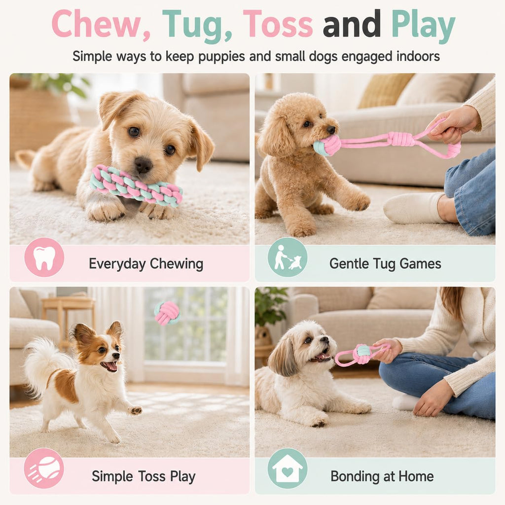 Jouets à corde pour chiens pour chiots et petits chiens