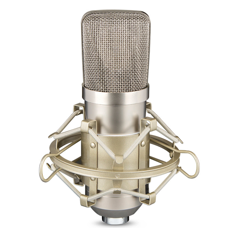Microphone Condenseur Microphone Grand Diaphragme Microphone Condenseur