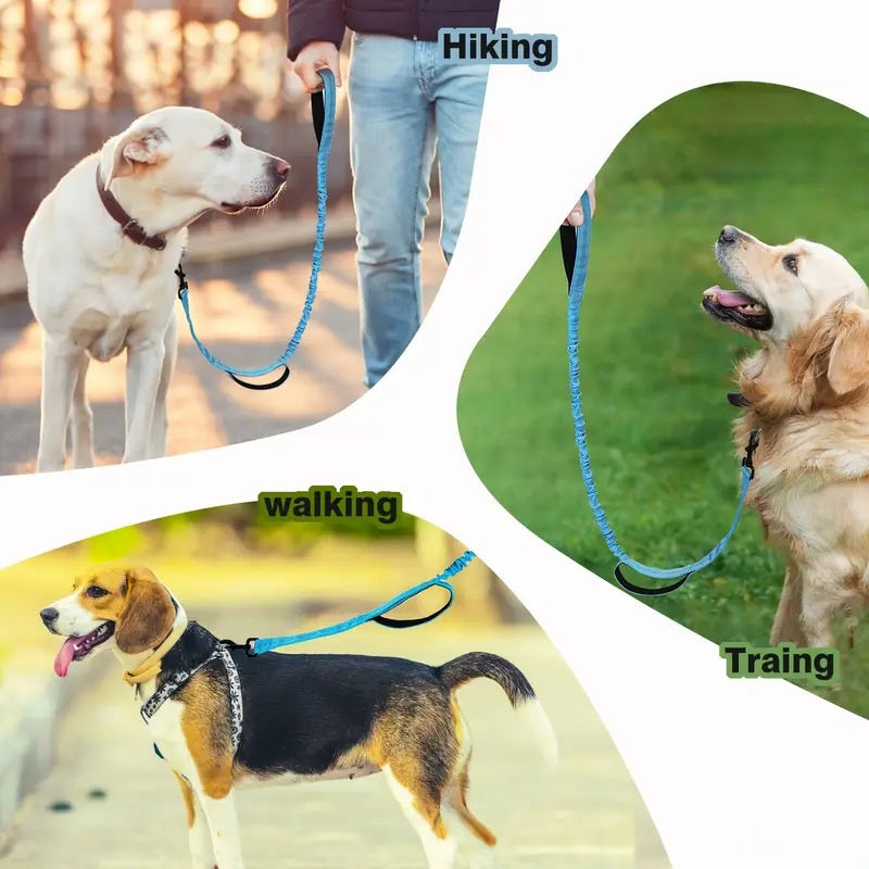 Feuille de chien multifonctionnelle pour les grandes races Anti-pull