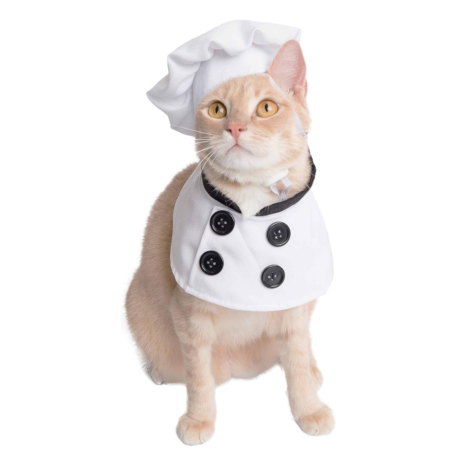 Ensemble de costumes d'Halloween pour animaux de compagnie personnalisés