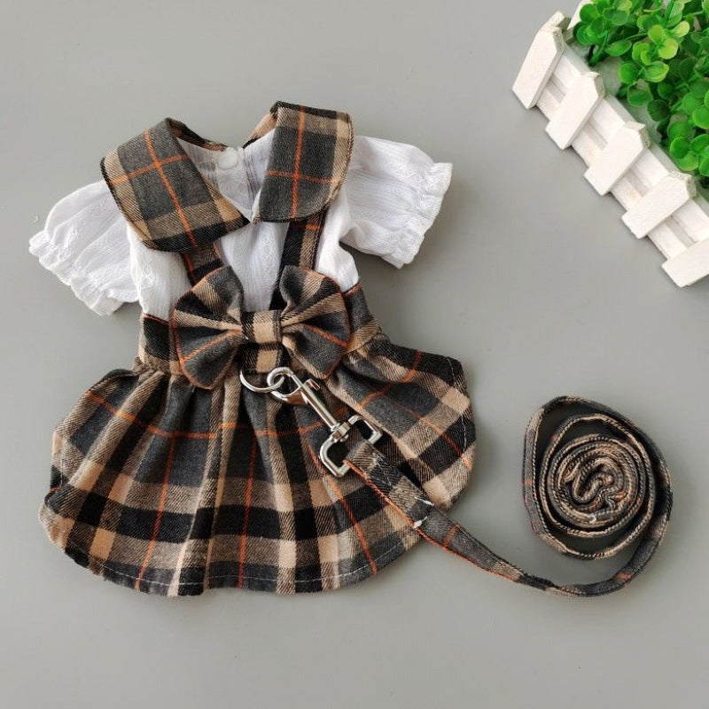 Robes de chien pour promenades en plein air avec une laisse