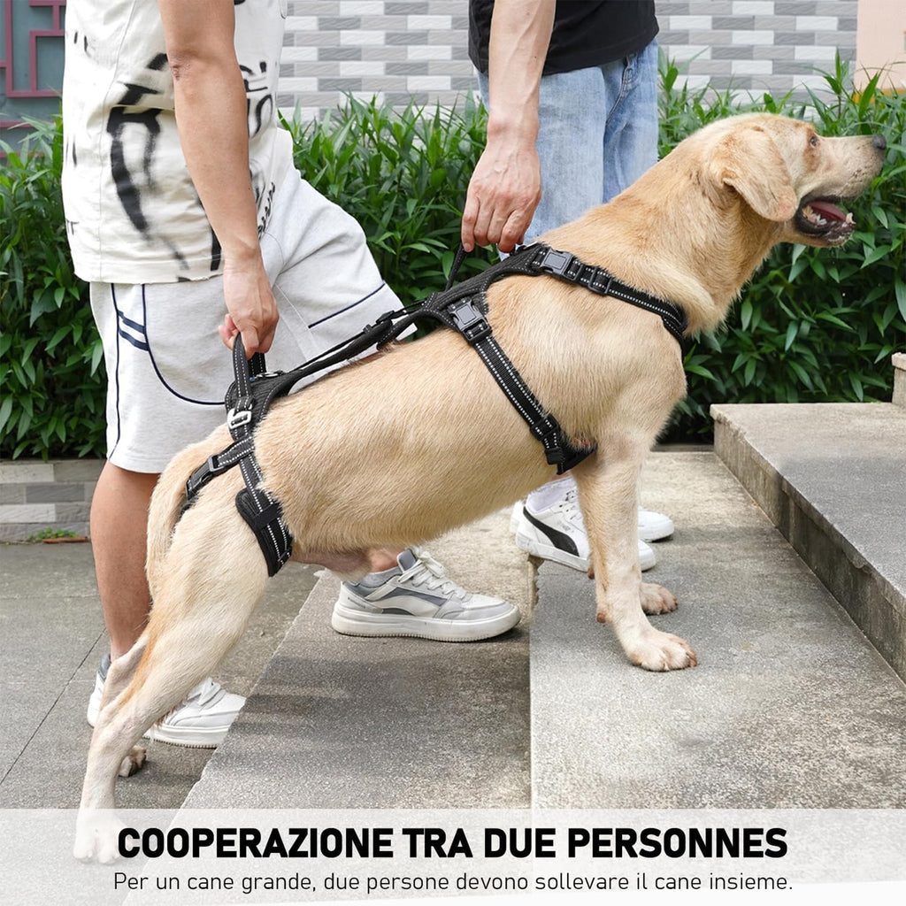 Harnais d'aide aux animaux de compagnie le plus vendu