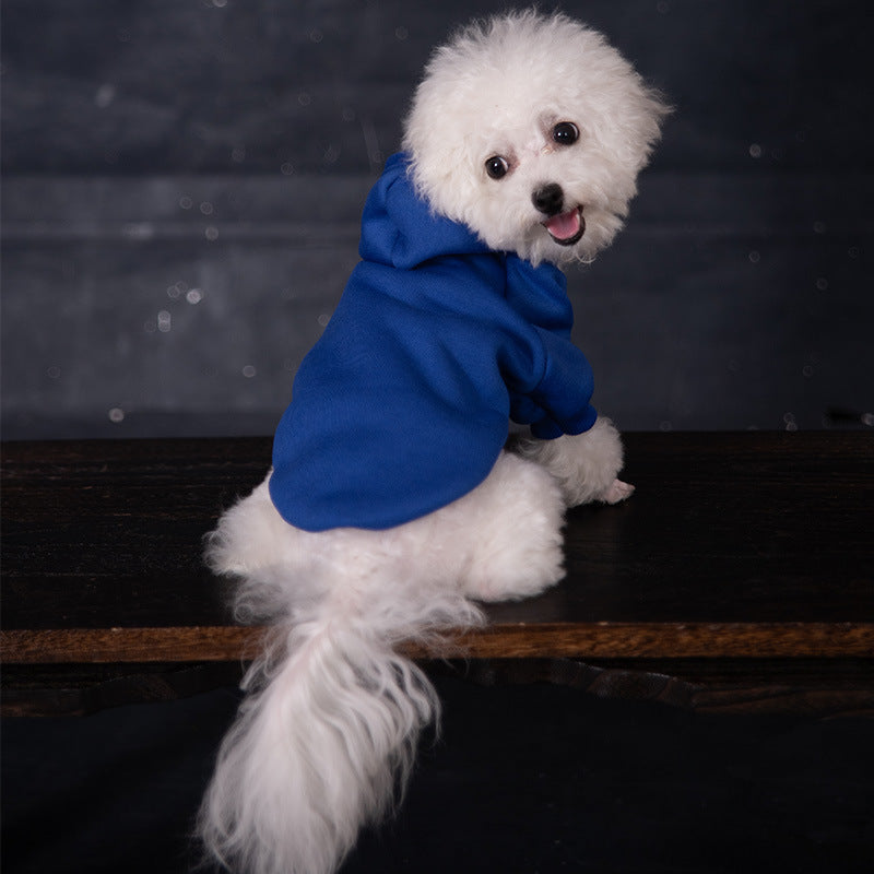 Hoodie pour chiens avec un hood
