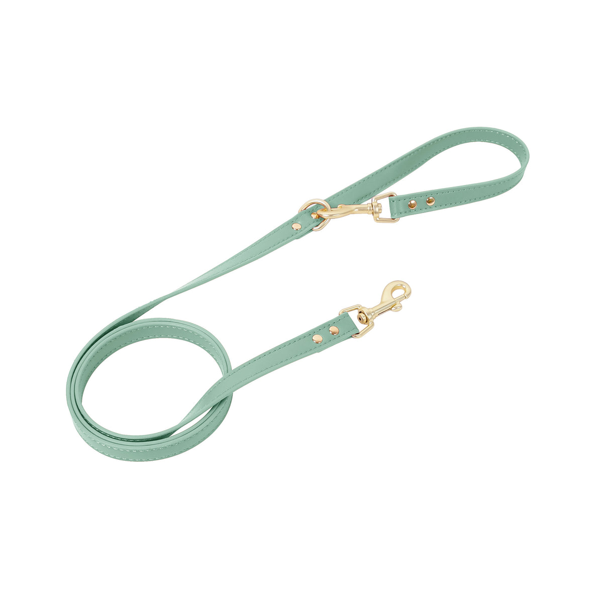 Harnais pour chiens et chats et laisses pour marcher