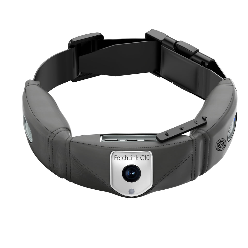 C10 Smart Pet Collar Monitoring Health Multifonctionnel