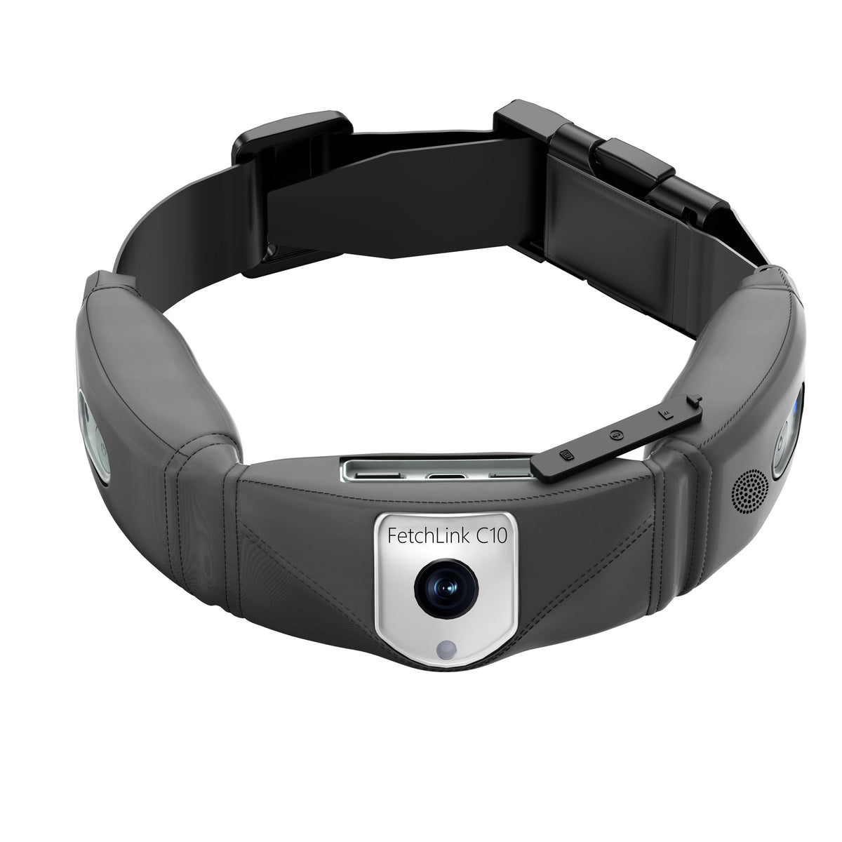 C10 Smart Pet Collar Monitoring Health Multifonctionnel