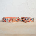 Collier et jeu de laisses pour chien doux et confortable