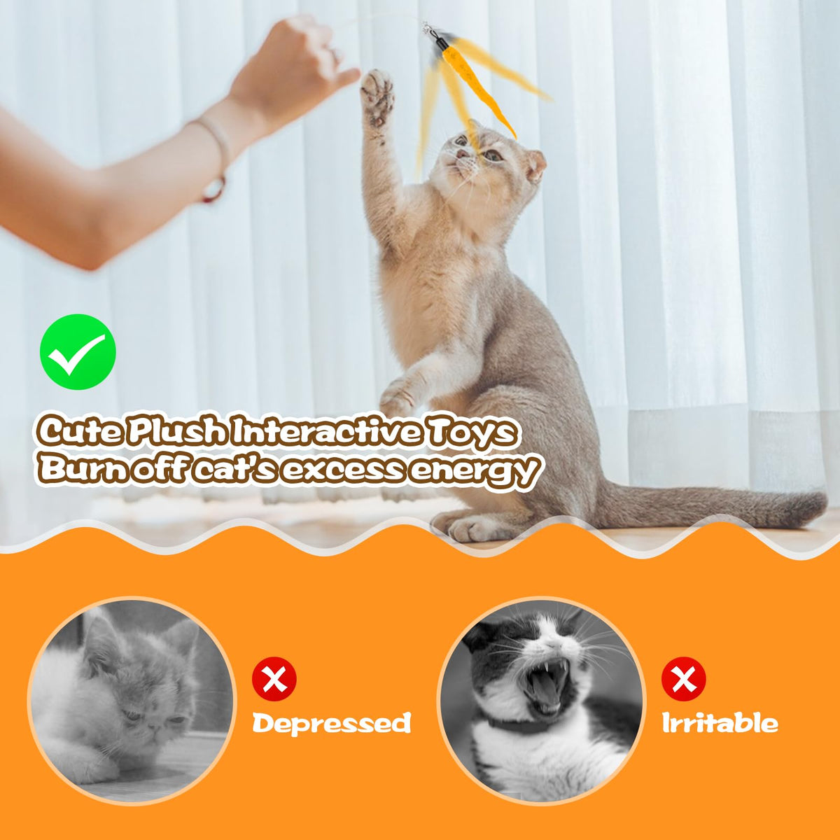 10PCS Cat Worm Toy