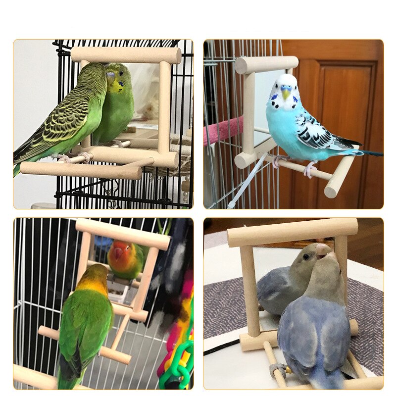 Porte-oiseau avec miroir