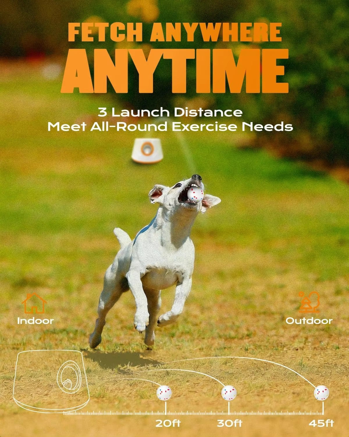 Lanceur automatique de balle de chien avec 3 boules Jeu interactif de lancer de balle de chien