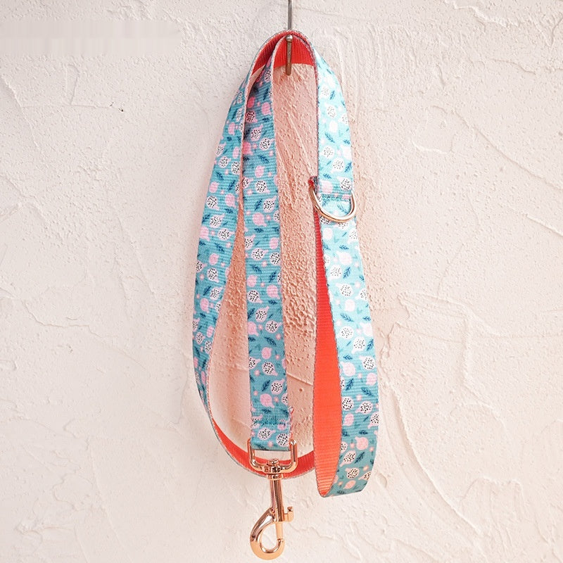 Fruits-imprimé Pet laisse Nylon durable laisse avec boucle métallique