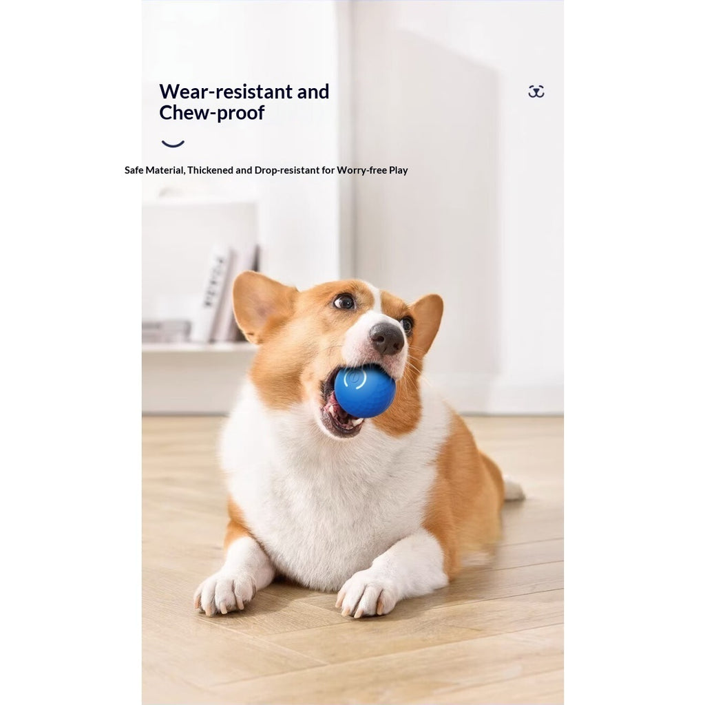 Boule de jouet électrique interactive pour chien gravitationnelle pour self-play