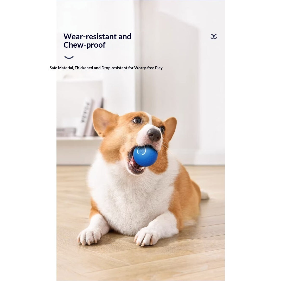 Boule de jouet électrique interactive pour chien gravitationnelle pour self-play