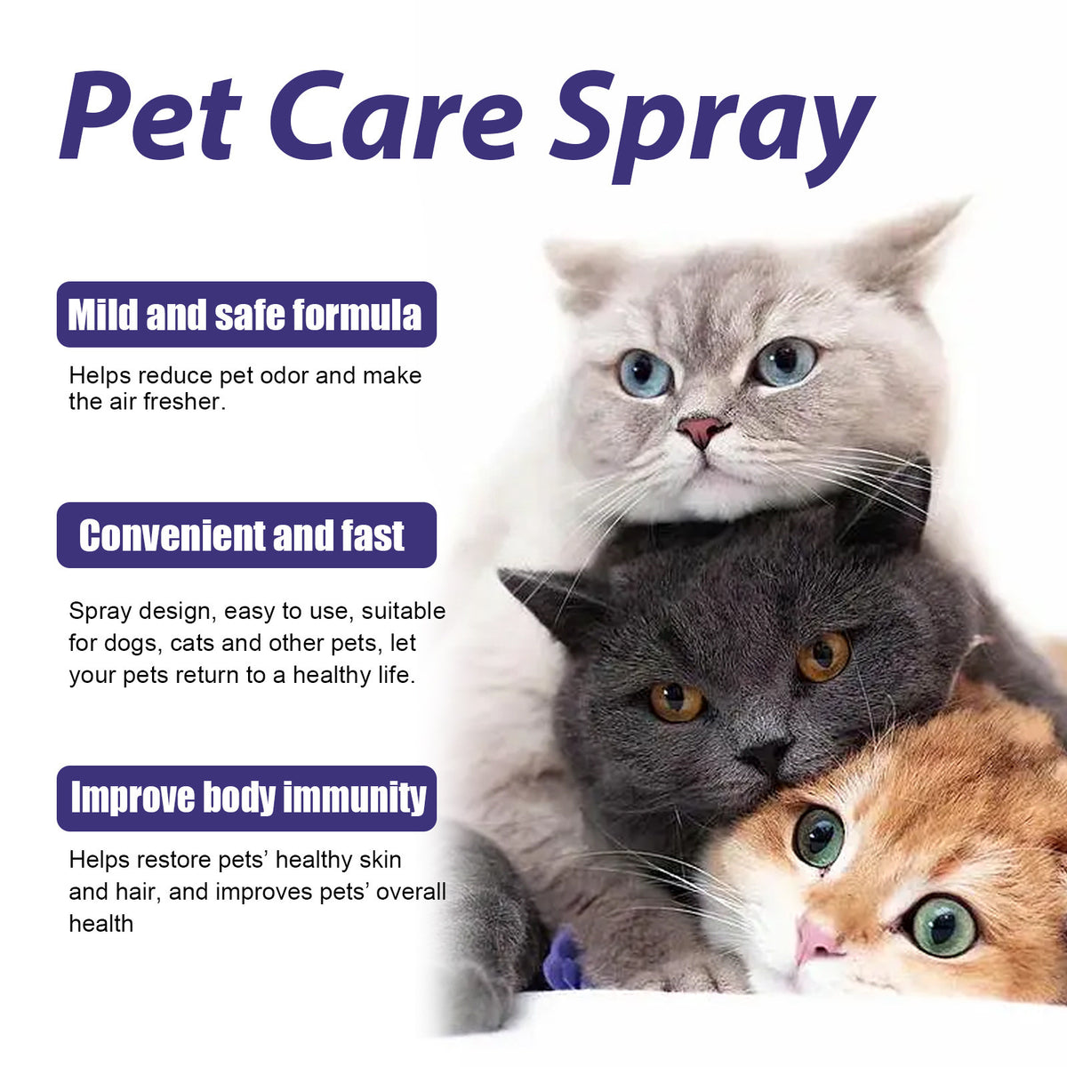 Eggbong soin des animaux Spray soin des chats et des chiens soin de la peau Spray soin de la peau