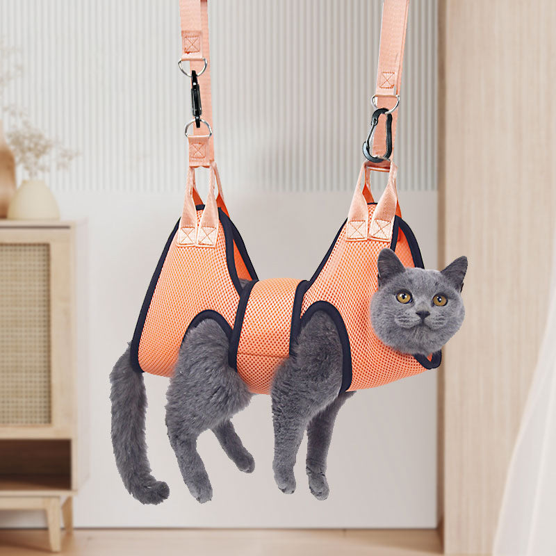 Outil pour chat et chiens