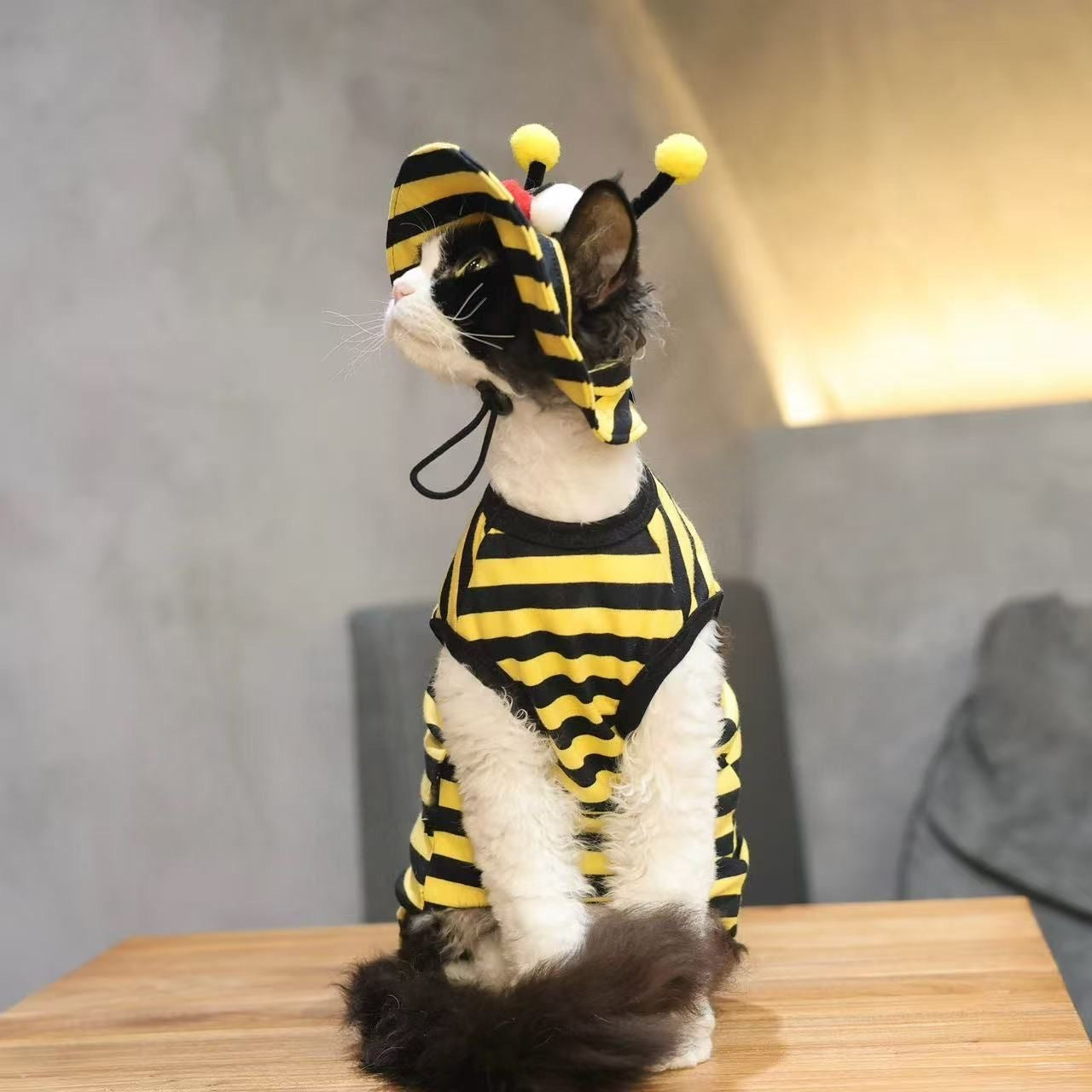 T-shirt d'été à rayures pour chat et chapeau de soleil de raisin 2 pièces