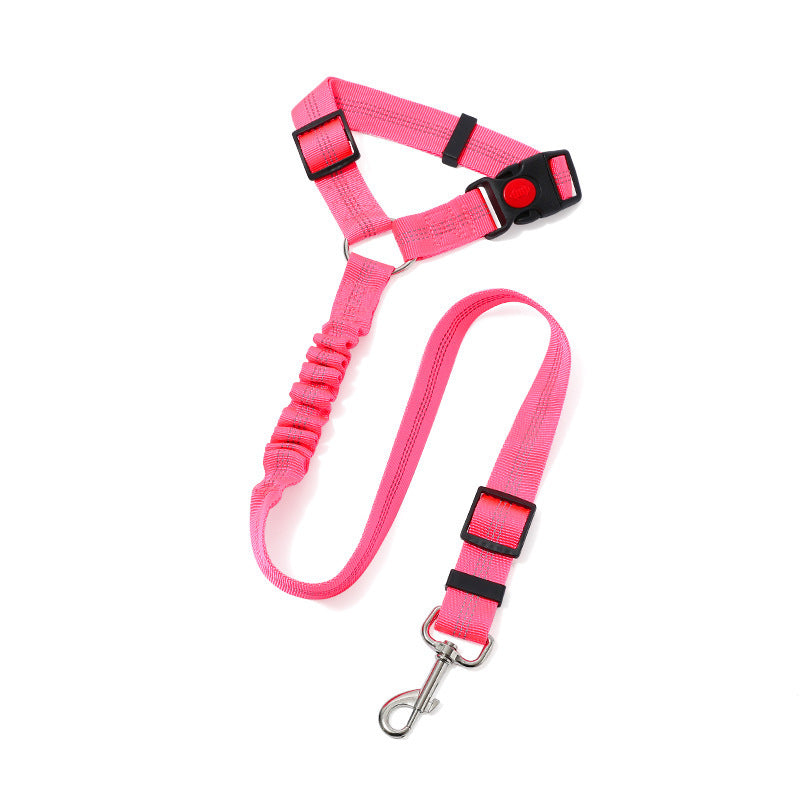 Ceinture de sécurité sur corde de traction montée sur véhicule pour animaux de compagnie