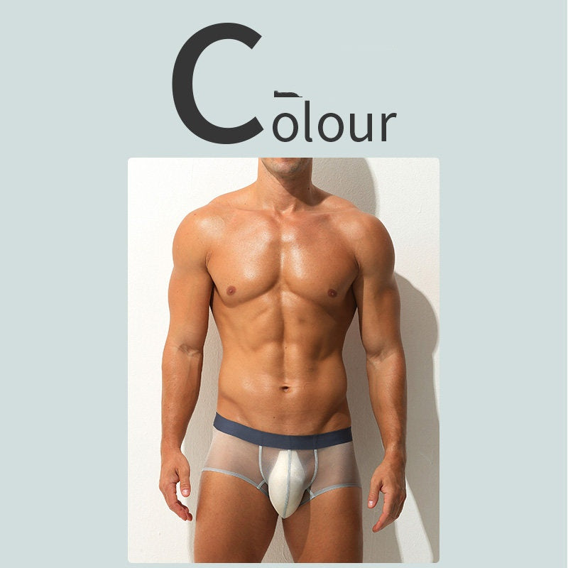 Boxer Slips Ultra-fin Sheer Silk glacé Low-rise Sexy