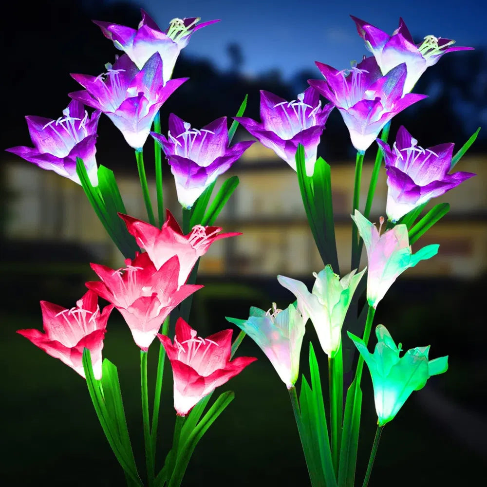 Outdoor Solar Lights