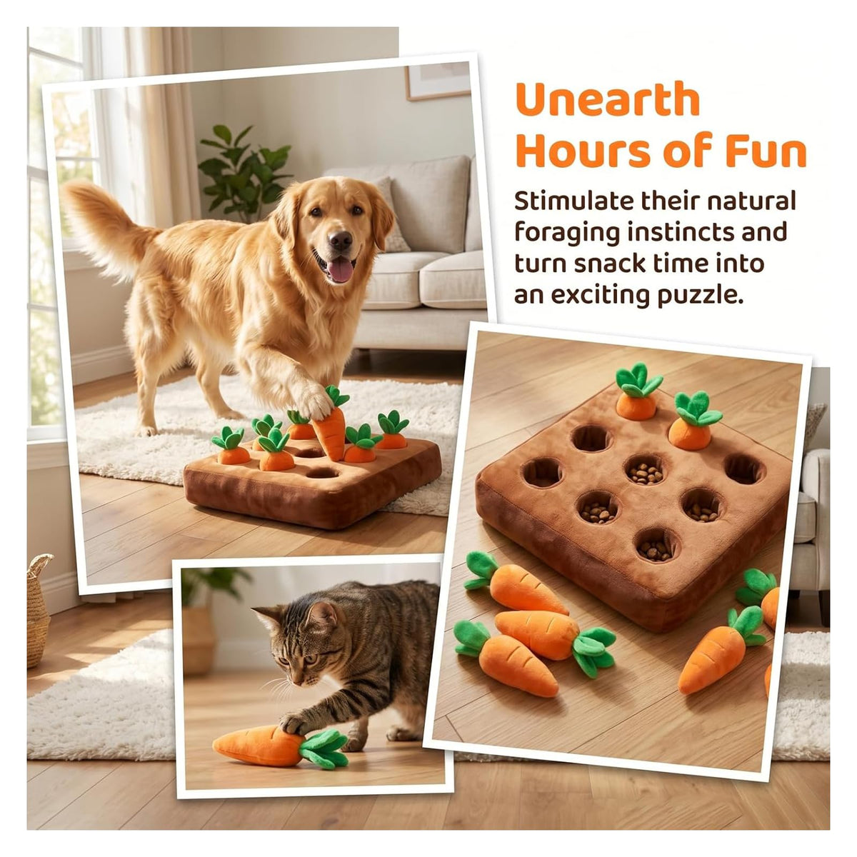 Jouet pour chien de carottes