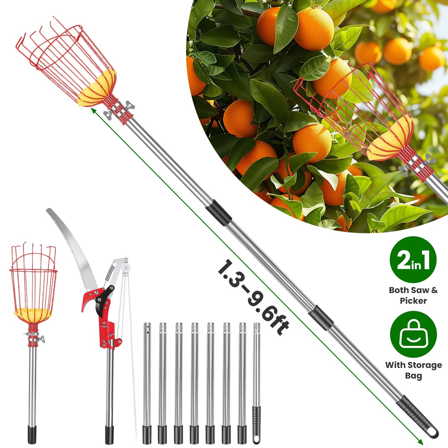 14.4FT OU 10.9FT Option 2-en-1 Picker de scie et de fruits avec Pol en acier inoxydable extensible