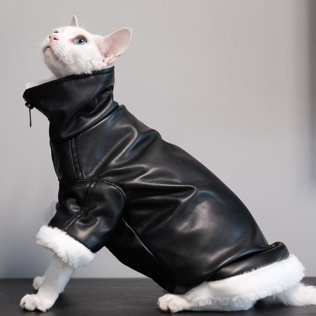 Manteau épais Sans fourrure Vêtements de chat Sphynx Cat Outfit Automnehiver Style