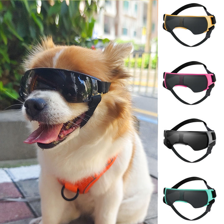 Gants anti-soleil pour chien