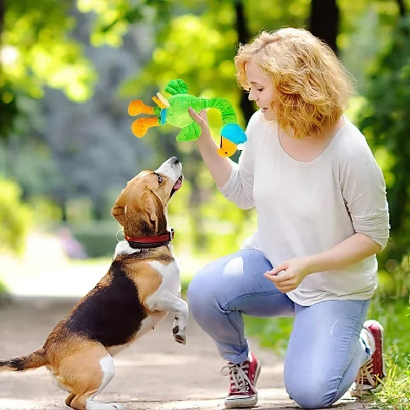 Animaux de compagnie Jouets de chien criant Poulet Jouet sonore Puppy Bite résistant Jouet de Chew Interactive Squeak
