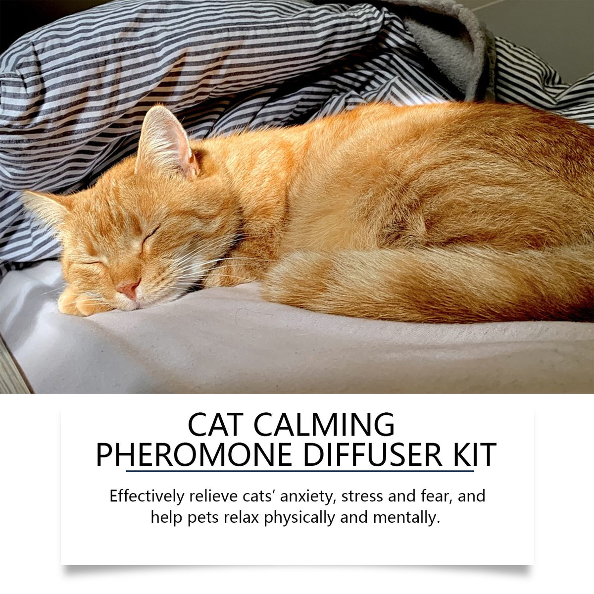 Combinaison pour diffuseur d'humeur chat