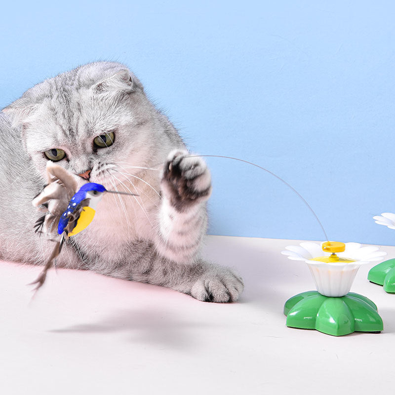 Jouet Cat Automatique Cat Teaser Rotation électrique