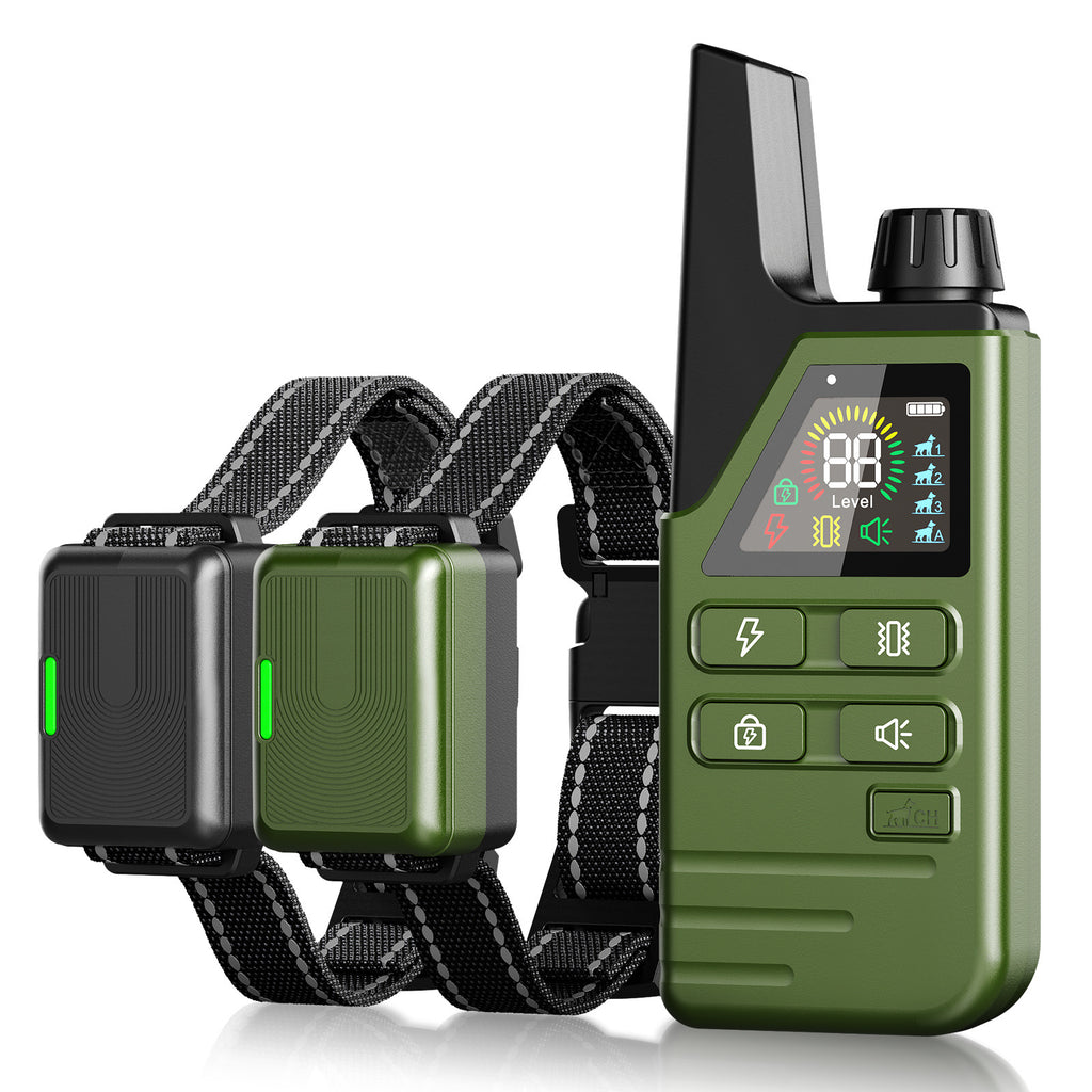 Remote control puppy training
