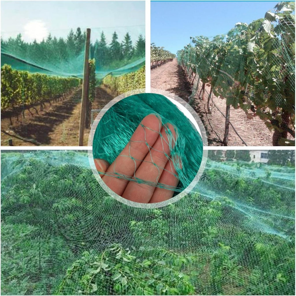Filet de protection de l'arbre fruitier avec étriers et pinces de fixation pour protéger votre récolte