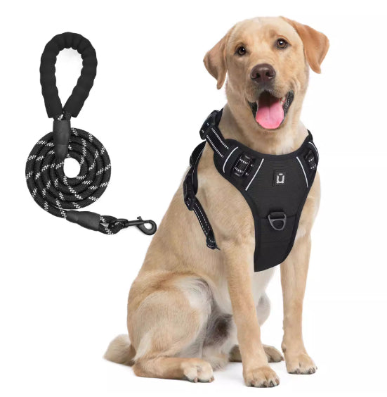 Harnais de chien et combo de laisse avec conception de preuve d'évasion