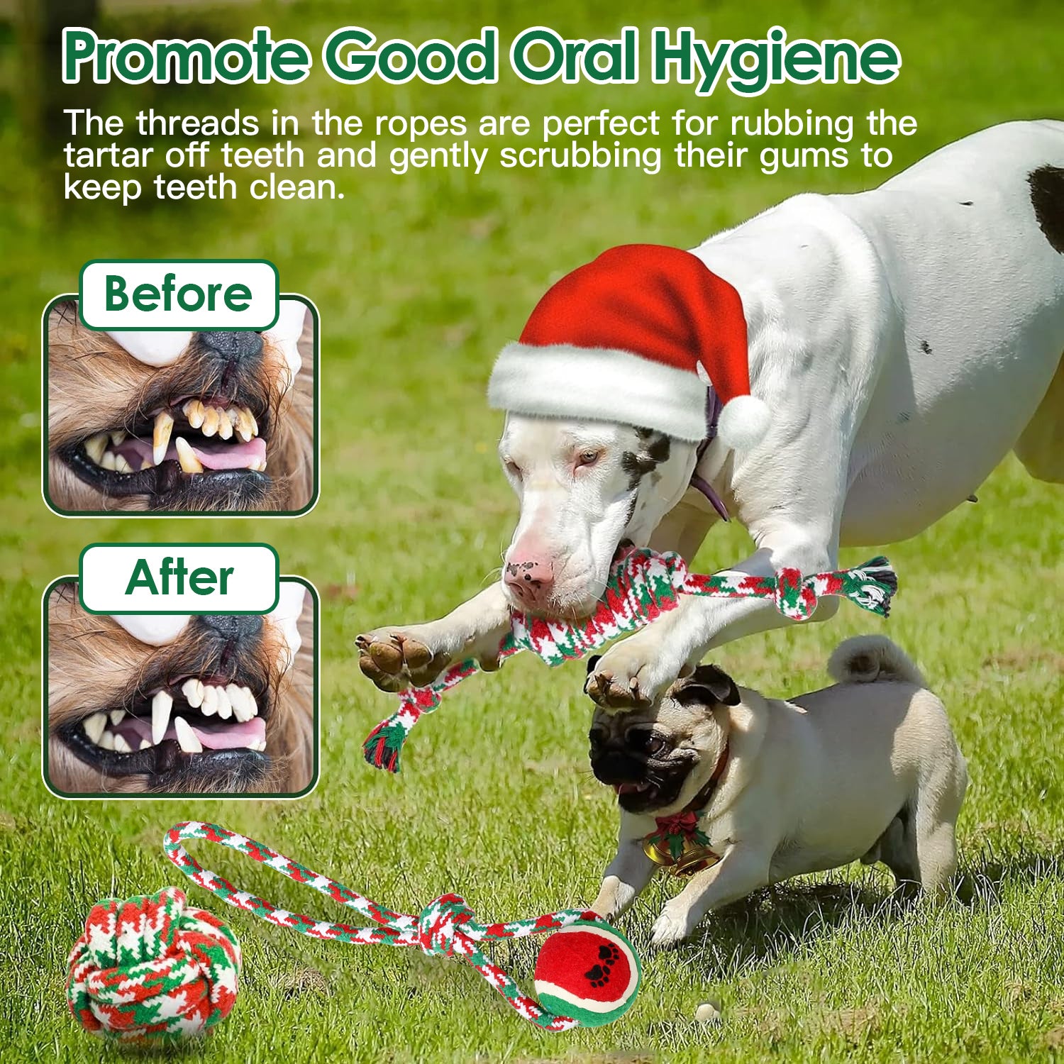 Ensemble de 5Pcs Rope de chien de Noël Jouets de Chew Jouets interactifs de chien Set pour chiot petit moyen A