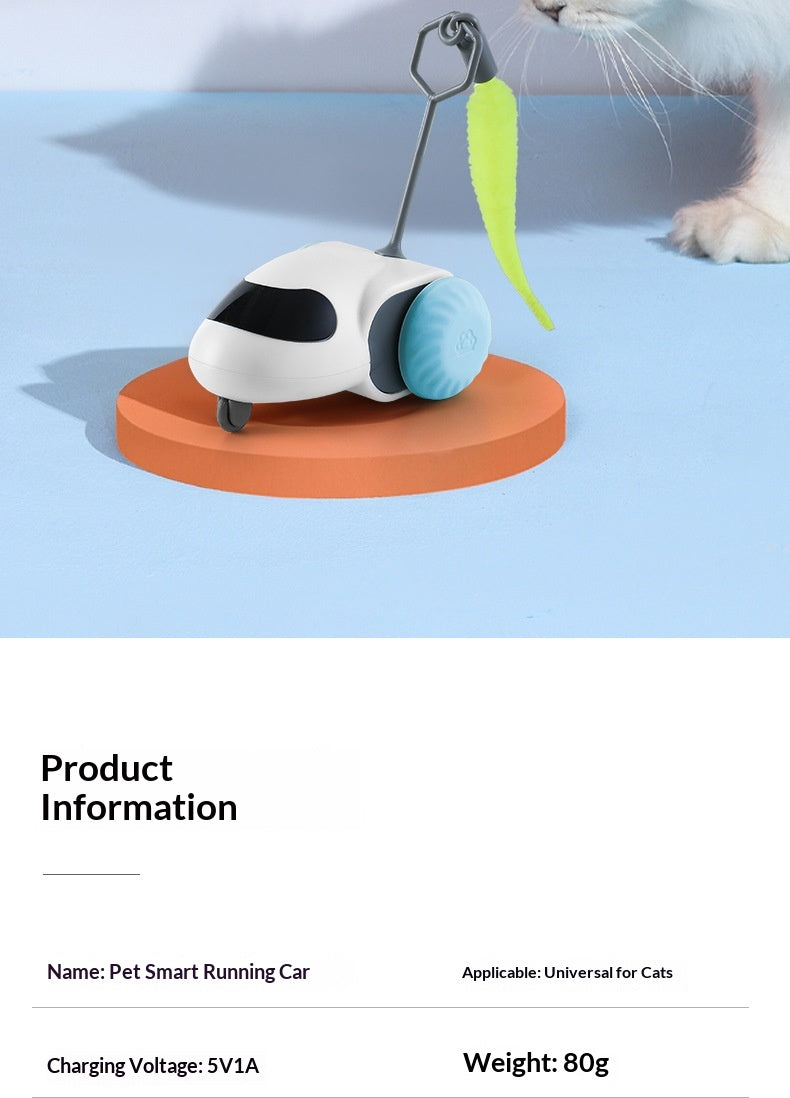Jouet de chat électrique Smart Racing avec souris de simulation