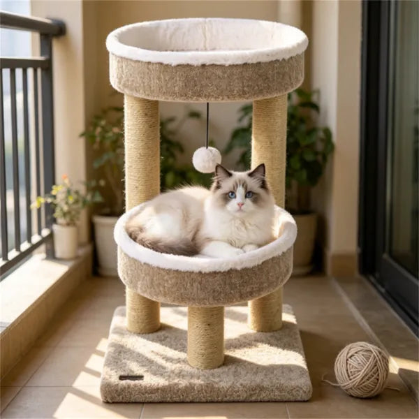 Arbre de chat compact de 24 pouces avec 2 perches en peluche