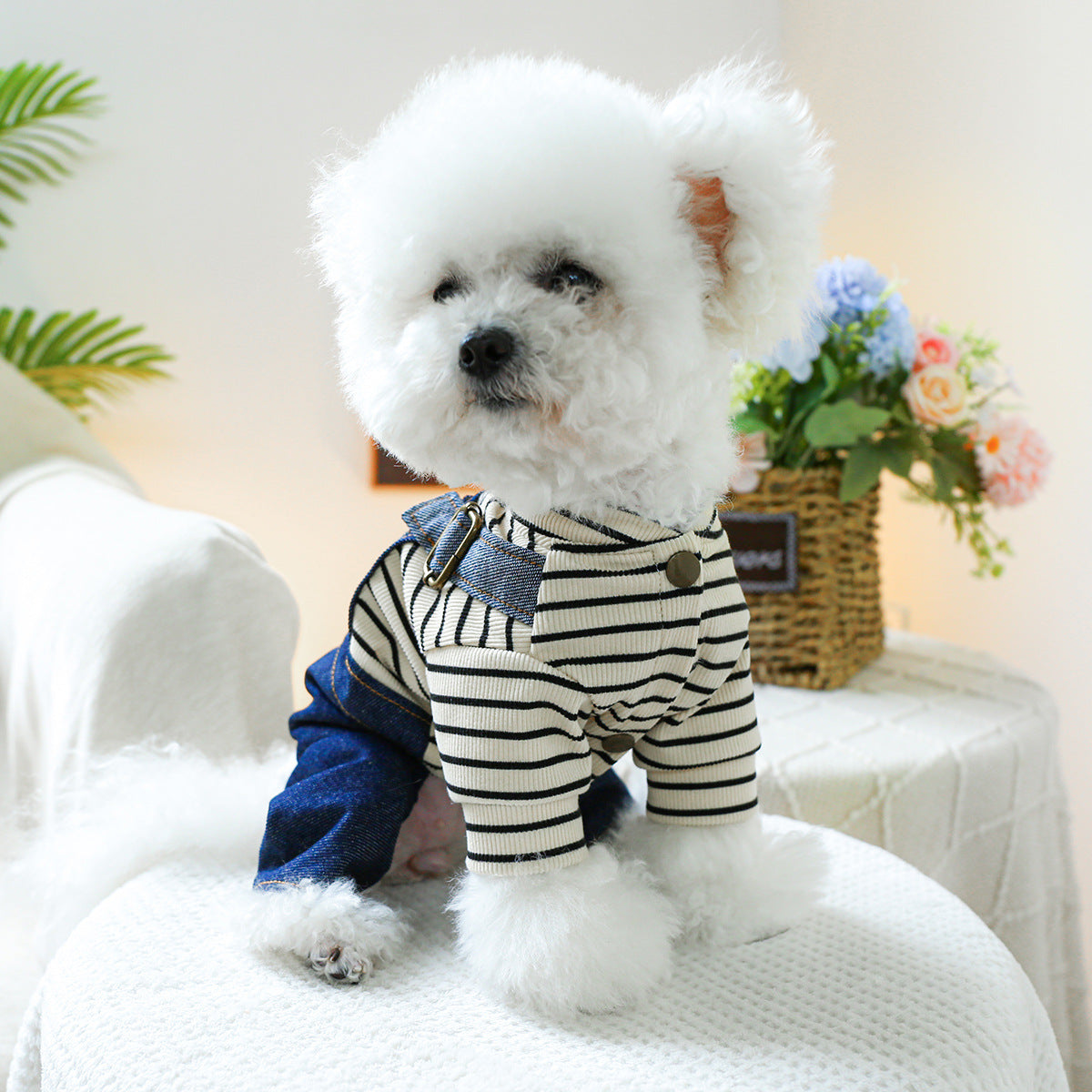 Chien de vêtements pour animaux de compagnie 4 pieds coeur Vintage