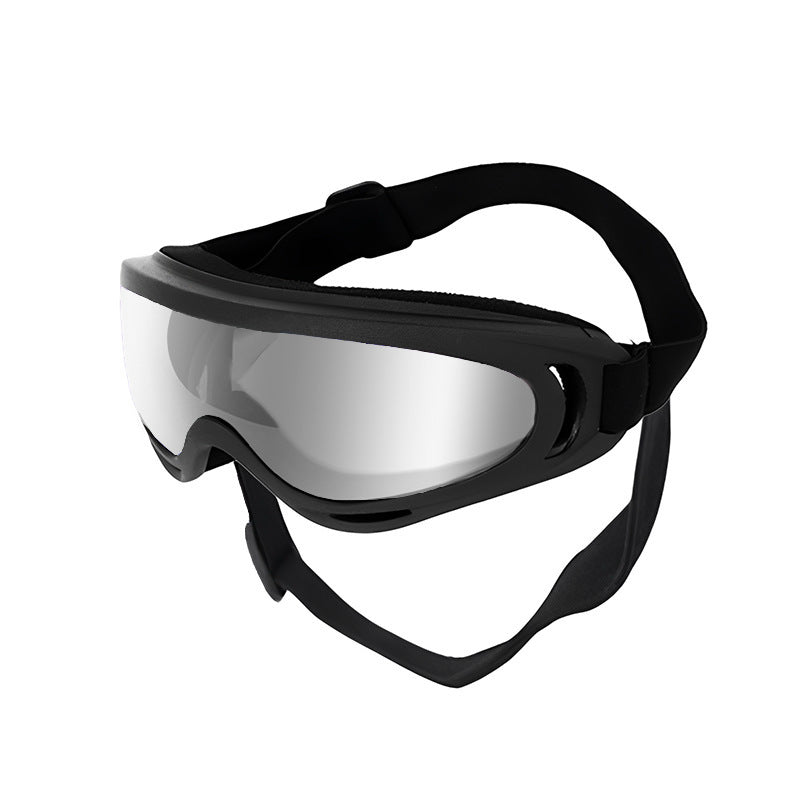 Verres de chien en plastique anti-vent