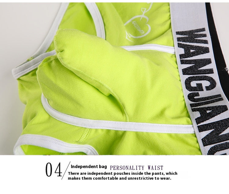 Sous-vêtements pour hommes Boxers Low Waist Coton U Convex Trunk Mode Sexy Boxers pour hommes