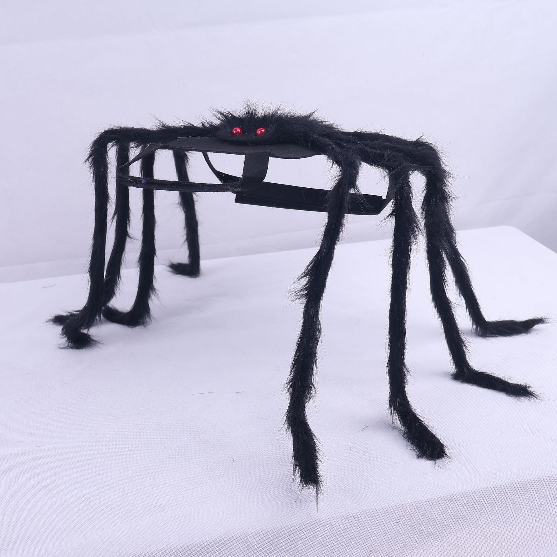 Déguisement Halloween Pet Spider Style américain