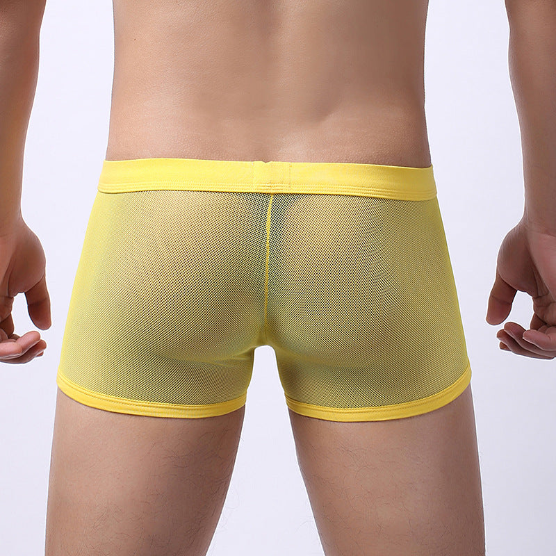 Sous-vêtements pour hommes Mesh Mesh Respirant Boxers Low Waist Transparent Boxers Youth Cool Short
