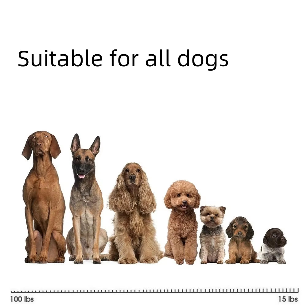Collier de chien USB Rechargeable Trainer électrique Vibration Shock Beep Dog Training Collar Anti