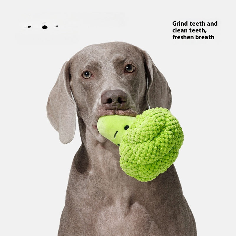 Chien Molar Dents Nettoyage Brocoli Plush Doll Sound Toy