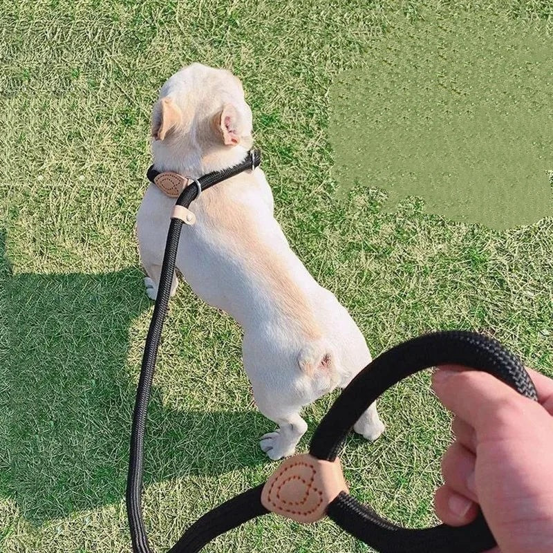 Leash de chien Anti-pull Chaîne P Leash de marche